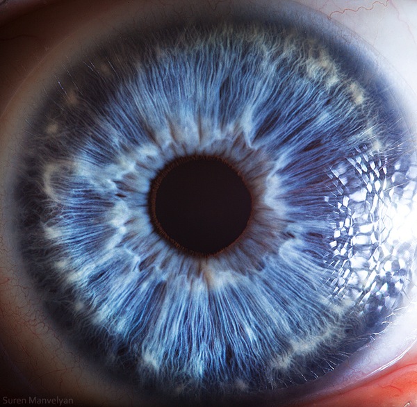 https://www.smithsonianmag.com/smart-news/the-science-behind-these-amazing-photographs-of-the-human-eye-118697490/